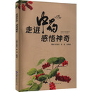 走进中药  感悟神奇