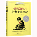 长青藤国际大奖小说:小兔子桑德拉