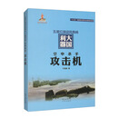 空中杀手:攻击机
