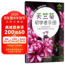 天竺葵初学者手册