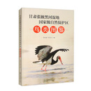 甘肃张掖黑河湿地国家级自然保护区鸟类图鉴（精）