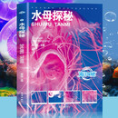 水母探秘