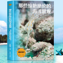 那些惊艳绝伦的海洋景观