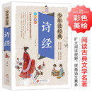 诗经 小学生青少版 美绘版 青少年读本 无障碍阅读 三四五六年级课外书 少年读经典系列