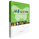 油茶有害生物/油茶有害生物及害虫天敌丛书