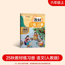 2025新版教材同步练习册 语文 六年级上册 （人教） 课时作业一课一练必刷题同步训练试卷作业