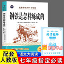钢铁是怎样炼成的（定制版）赠考点手册 名著导读赏析彩绘版课外阅读必读书籍