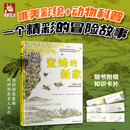 蜜蜂的新家