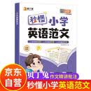 贝丁兔小学英语自然拼读秒记单词  趣味秒记音标 英语音标和自然拼读 趣味学48个国际拼读法速记小学生入门教材音标书 记单词一本通大全 秒懂语法范文一本全 妙记 妙计 秒记 押题示范思维导图零基础学音标