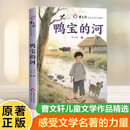鸭宝的河 曹文轩儿童文学作品精选 曹文轩正版书籍小说阅读与鉴赏系列儿童文学老师推荐小学生课外阅读书籍儿童课外阅读 曹文轩小说系列  [7-10岁] [8-14岁] 中阅