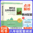 【定制】（原著版带册）钢铁是怎样炼成的