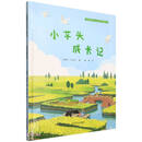小芋头成长记
