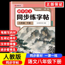 初中语文同步练字帖八年级下册（定制版）初中生专用中学生每日一练