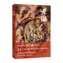 火圈