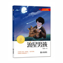大白鲸原创幻想儿童文学优秀作品·流星男孩