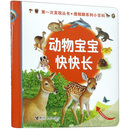 动物宝宝快快长（精）/透视眼系列小百科/第一次发现丛书