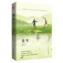 先锋经典文库：童年（精装）