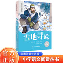 雪地寻踪 彩绘注音官方正版新版新课标小学语文阅读丛书第十二辑 儿童文学经典读物小学生课外书
