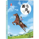 逐马少年