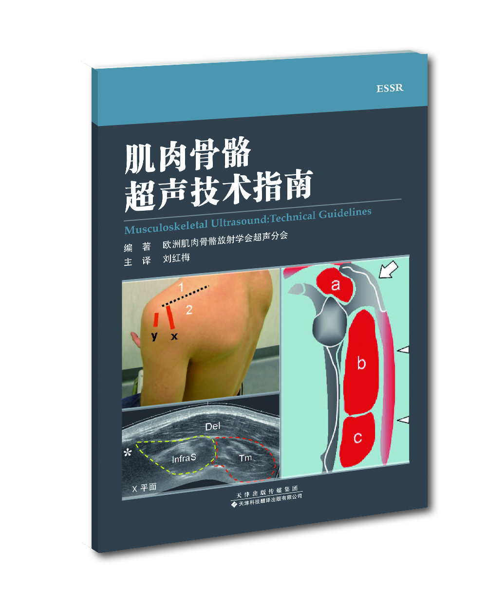 肌肉骨骼超声技术指南