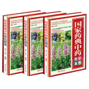 国家药典中药彩色图鉴（套装共3册）