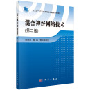混合神经网络技术（第二版）