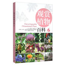 观赏植物百科 6