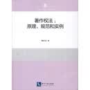 著作权法：原理、规范和实例