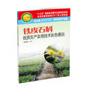 铁皮石斛生产实用技术彩色图说