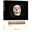 面部分区注射解剖图谱
