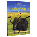 星宿海上的野牦牛（影像青少版）