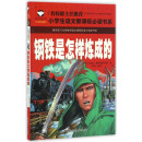 钢铁是怎样炼成的 名校班主任推荐 小学生语文新课标必读书系 彩图注音版