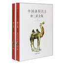 中国洛阳出土唐三彩全集（上下册）
