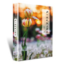 为一朵花披上袈裟