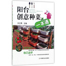 阳台创意种菜一本通