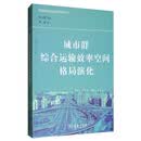 城市群综合运输效率空间格局演化/交通地理与空间规划研究丛书
