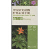 中国常见植物野外识别手册：山东册