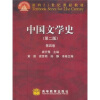 面向21世纪课程教材：中国文学史（第4卷）（第2版）