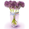 Philips������69153�ò�LED��ƿ��