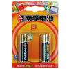 ���ڣ�NANFU��LR6-2B