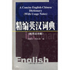 精编英汉词典（附用法详解）