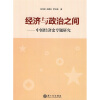 经济与政治之间：中国经济史专题研究