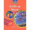 国家地理阅读与写作训练丛书：细胞在工作