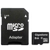 Gigastone
