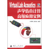 Virtual.Lab Acoustics声学仿真计算高级应用实例（附光盘）