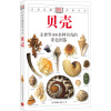 自然珍藏图鉴丛书：贝壳