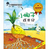 小牛顿爱探索科普绘本：小椰子成长记