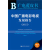 广电蓝皮书：中国广播电影电视发展报告（2015）
