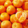 【橘子 福建芦柑桔子柑橘10斤和多美汁 海南妃