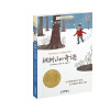 长青藤国际大奖小说书系第三辑·枫树山的奇迹